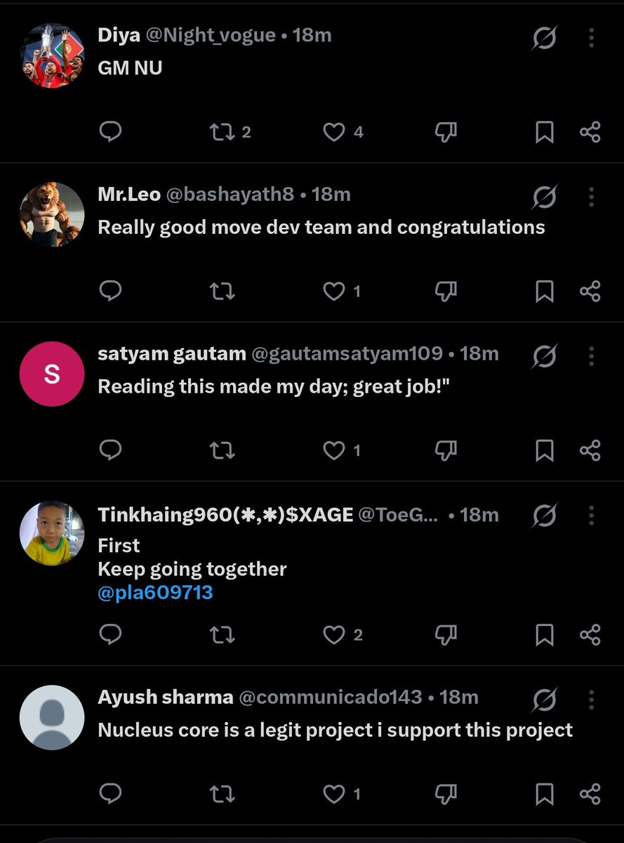 Nucleus Core Chain (NCC). tweet media