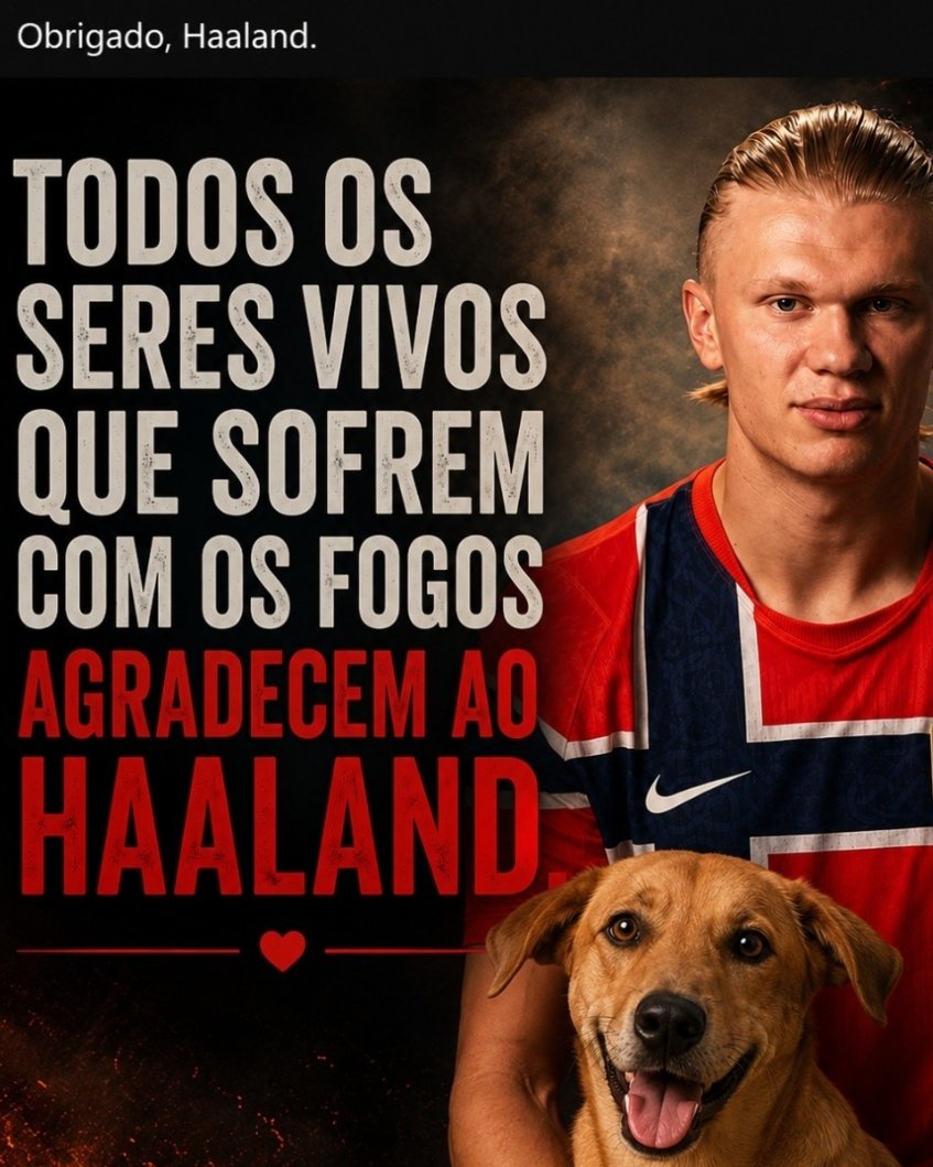MichellePortes2's tweet photo. Pra mim foi ótimo!Tenho um hotelzinho de cachorrinho! https://t.co/LnKoq9ShzK