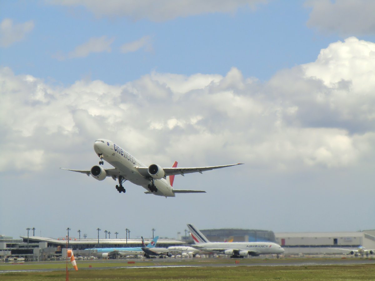 mt_fuji85's tweet photo. @JAL_Official_jp ㊗️就航30周年､好きな機体です。 https://t.co/c80hLHlWvY