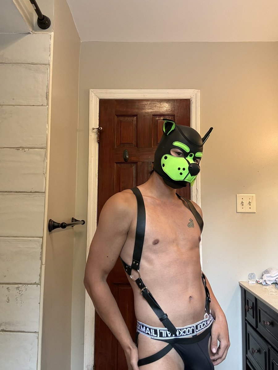 Azar_038's tweet photo. Puppy got some new clothes woof woof (ᵔᴥᵔ) #gaypup #puppyplay #gay #goodboy https://t.co/i8YTGHrbAA