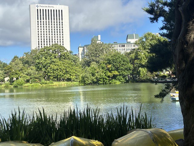 ebigwitter's tweet photo. 今朝の中島公園は19℃、今年の夏も暑いのだろうか？？？
 #今朝の気温 #中島公園 #札幌 https://t.co/hdDRwgAayO