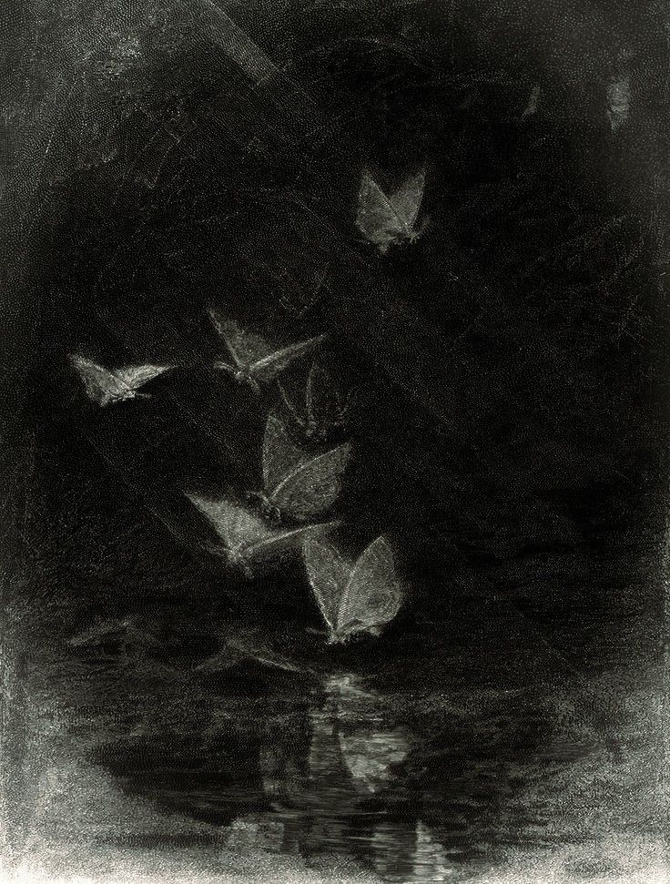 darkdreamvibe's tweet photo. https://t.co/U80IBwoGlZ
