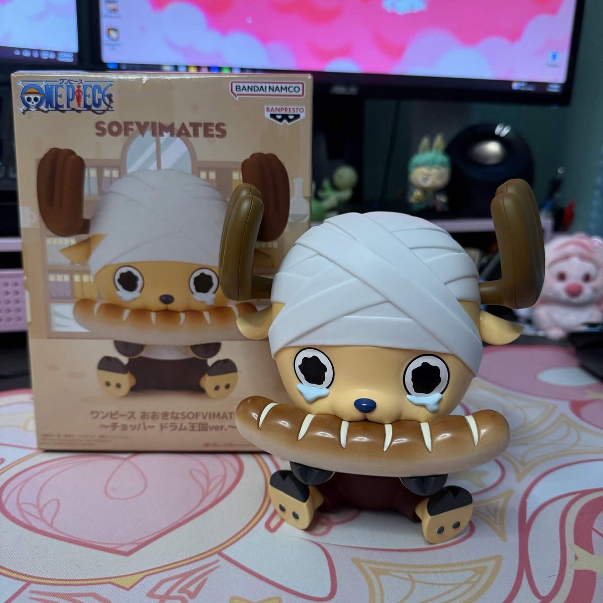 Aruiteru's tweet photo. this lil chopper's bigger than i anticipated 😭 but he's so cute!! https://t.co/kdlepd55OQ