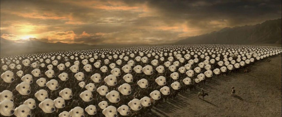 JotchuaTheMeme's tweet photo. The jotchuans will do whatever it takes 

We will not settle until we reach Vallahchua https://t.co/Os7zMX5ujX