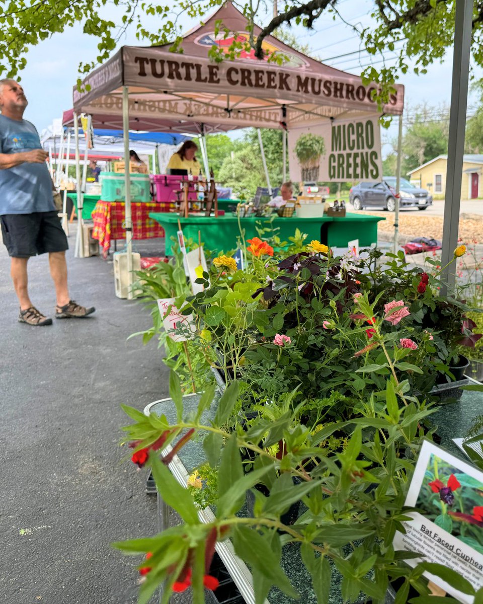 VisitBoerne's tweet photo. 🌿 Fresh finds are waiting in Boerne, twice every week! Shop local farmers, makers, bakers, and artisans while soaking up the charm of the Hill Country. 🔗 Check out our weekly farmers markets now! https://t.co/QqMplOclcf https://t.co/2A3jWQrBR9