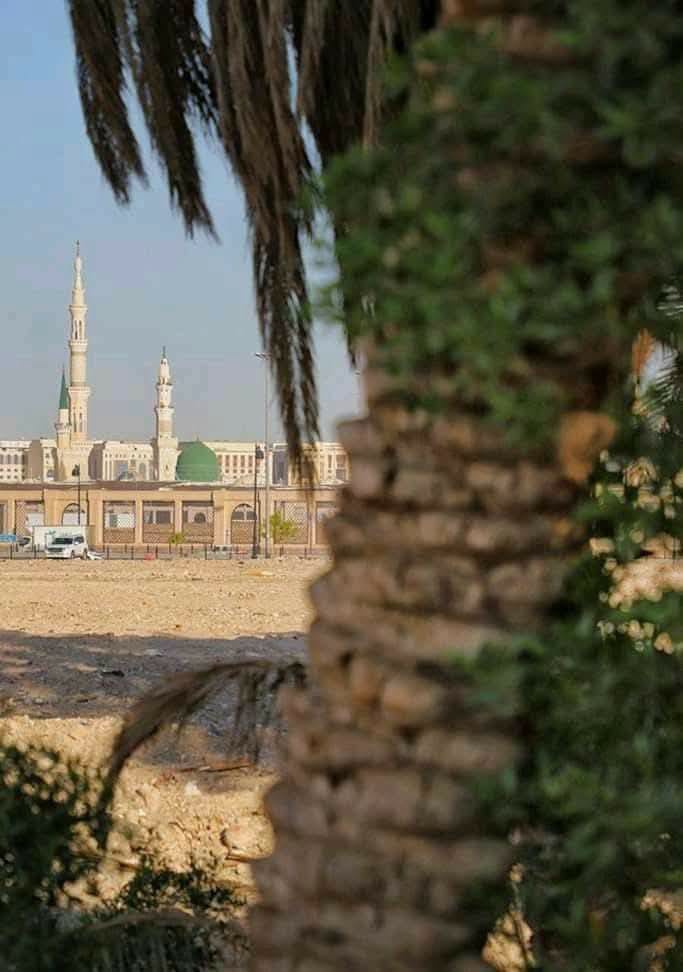 NADEEMA97988813's tweet photo. *آغاز صبح🌤️*
*ذکر محبوب کریمﷺ سے کریں♥️*
* *درودِ پاکﷺ کی کثرت کریں!*

* *پھر تمنائے زیارت نے کیا دل بےچین🥹*
* *پھر مدینے کا ہے ارمان مدینے والے🥹*
  ♥
 رب العالمین ہم سب کو بار بار  *مدینه منورہ* کی باادب حاضری فرمائے۔ 
*آمین ثم آمین صلی اللہ علیہ و آلہ وسلم♥️* https://t.co/sKkefcpEkZ