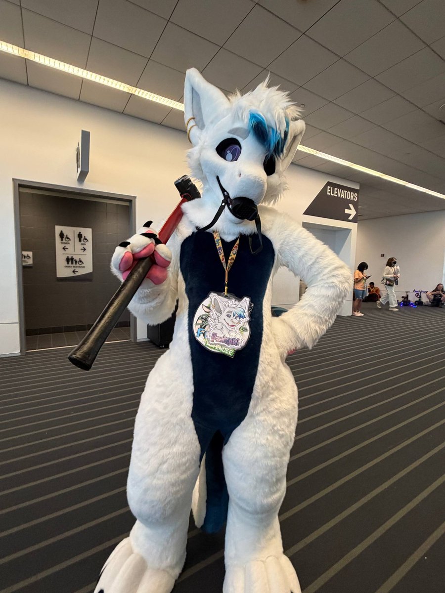 FengariKobold's tweet photo. Had a great time suiting this anthrocon!! thanks to everybody helping to make it all the more enjoyable. https://t.co/wAjot95zuw