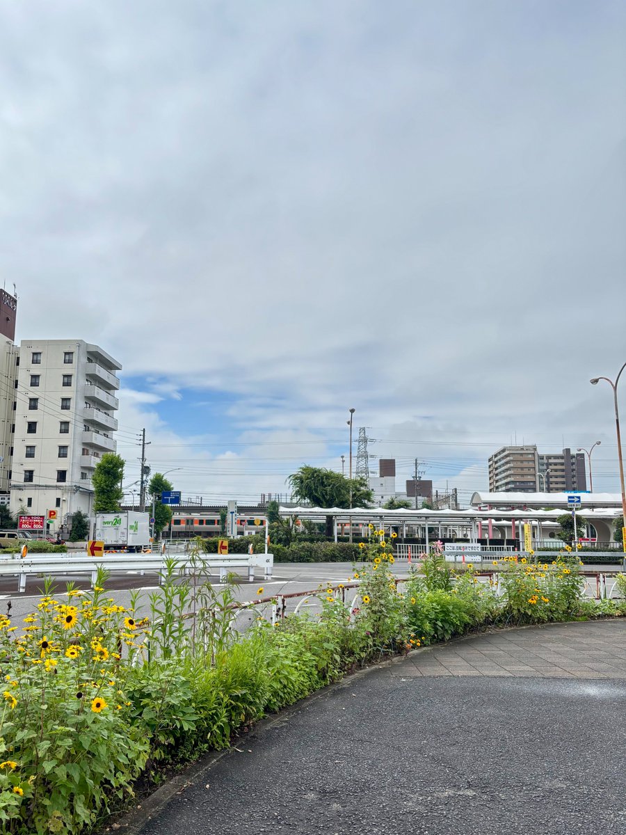 mirai_field's tweet photo. 7月7日（火）⛅️
愛知県春日井市
小雨の降る中出勤
最近は雨が降ると確実に道が混むので
大渋滞を警戒しながらの通勤がストレスです💦
自転車のルール厳しくなってから混み出した感が．．．

本日も頑張ります💪

#企業公式が毎朝地元の天気を言い合う
#企業公式相互フォロー #イマソラ https://t.co/SFkgHG3V8L
