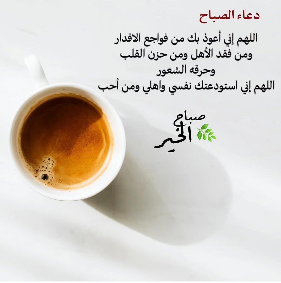 alialmtu's tweet photo. https://t.co/ZxCScztzrY