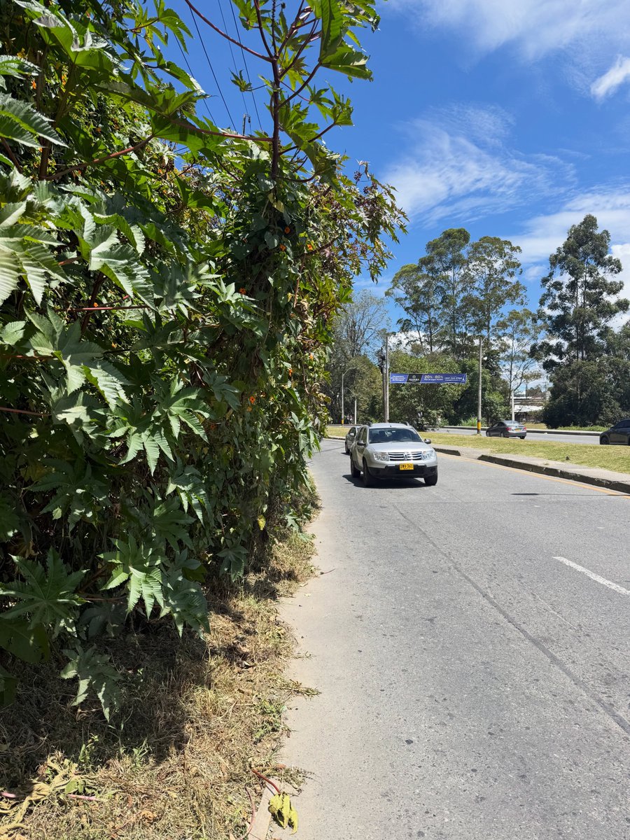 aregionalcom's tweet photo. Sectores de Rionegro presentan andenes peatonales inconclusos, poniendo en riesgo la seguridad de los peatones. La situación es crítica en la vía El Tranvía. Hacemos un llamado para que se culmine la construcción de estos andenes y se garantice una movilidad.

#OrienteAntioqueño https://t.co/Pw8RINuVxJ