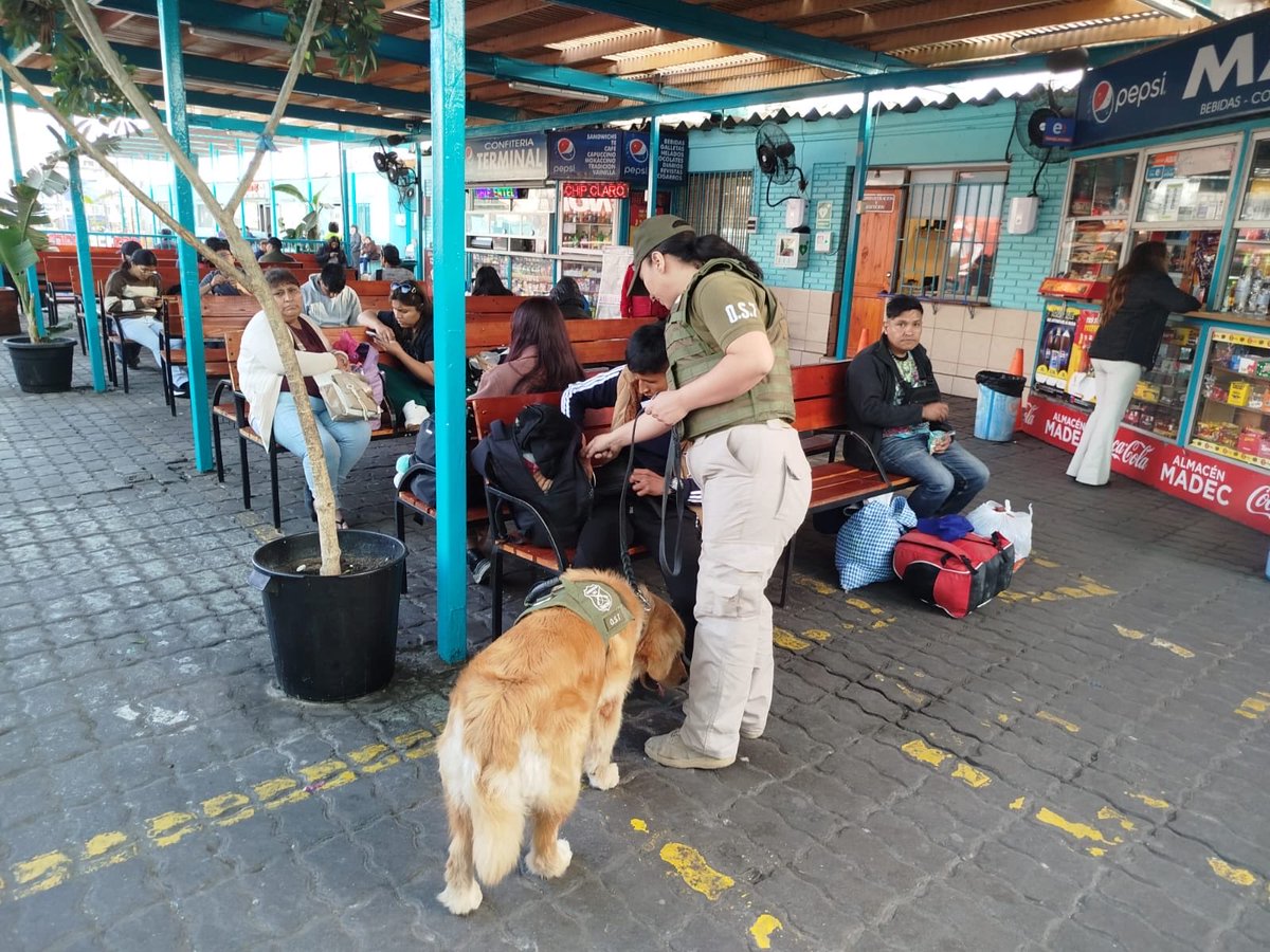 CarabTarapaca's tweet photo. 🚨 La Sección O.S.7 Iquique realizó controles preventivos en el terminal de buses junto al can detector "North", reforzando la fiscalización para evitar el traslado de drogas hacia el centro del país. #Iquique #Tarapacá #OS7 https://t.co/mthRwlVezN