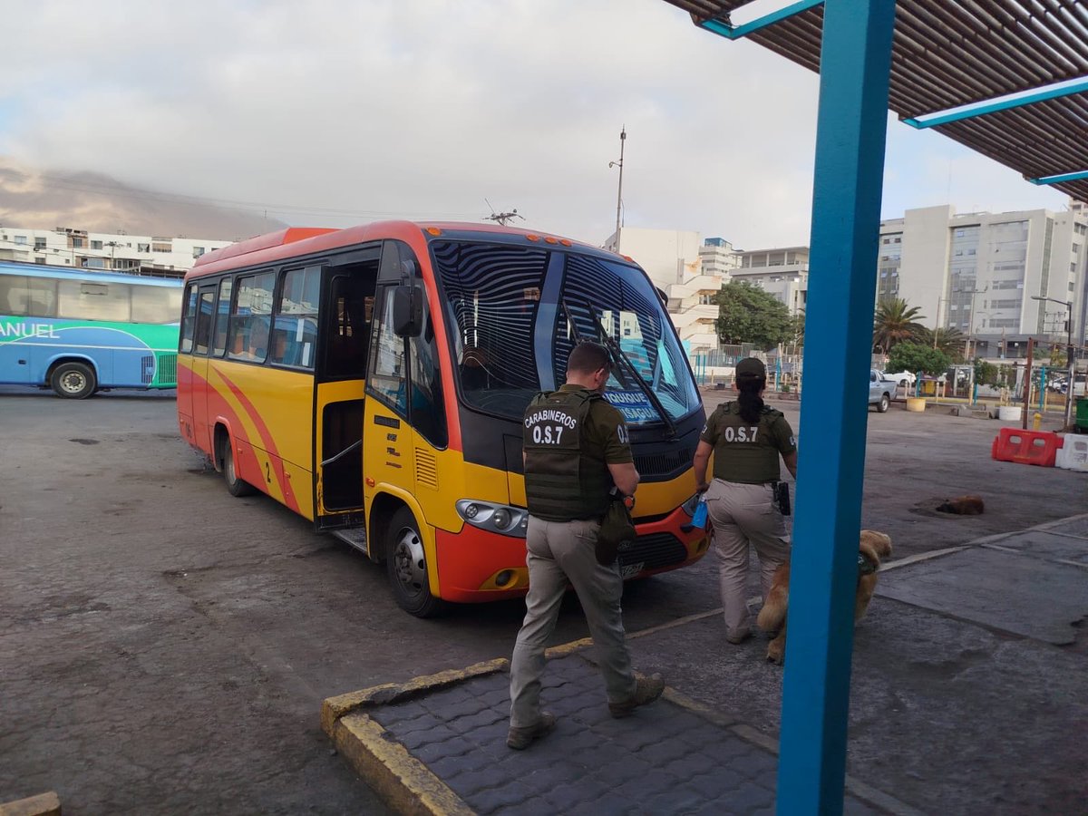 CarabTarapaca's tweet photo. 🚨 La Sección O.S.7 Iquique realizó controles preventivos en el terminal de buses junto al can detector "North", reforzando la fiscalización para evitar el traslado de drogas hacia el centro del país. #Iquique #Tarapacá #OS7 https://t.co/mthRwlVezN