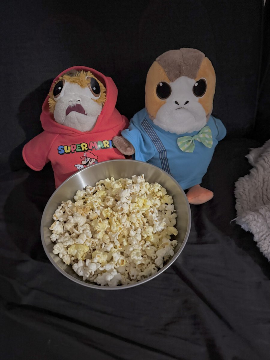 Porgie_Porgkins's tweet photo. We are watching the USA Belgium game. #porgs #porgsofx #tatertotsquad https://t.co/oFm4mt55Le