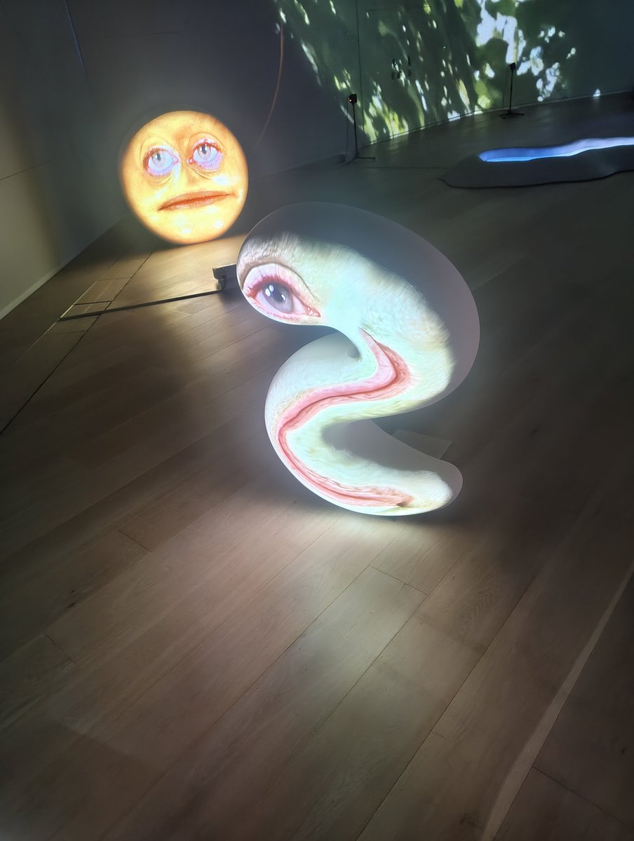 elephankt's tweet photo. 昨日行ったトニー・アウスラー展。空間と映像によって創り出された「仮想的な幻覚作用」。異常空間が次第にリラックス出来るようになってきて自分が何かの一部。もしくは誰かの細胞の1つにでもなった気になる。ひとつの部屋にいつまでも居たくなるような展示。素晴らしかった。 https://t.co/QvVwxFC6CA