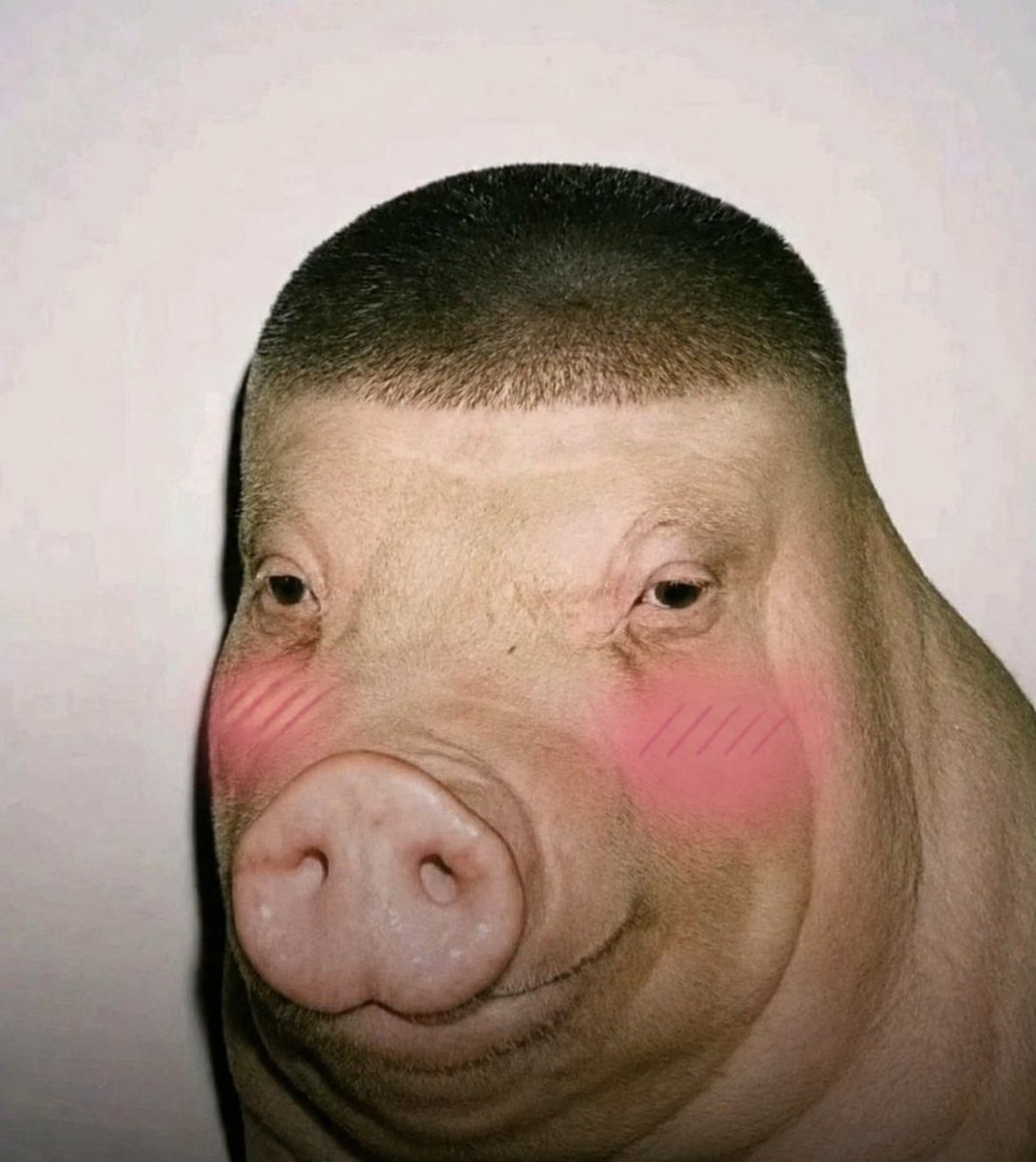 Dug (RacistHaircut) tweet media