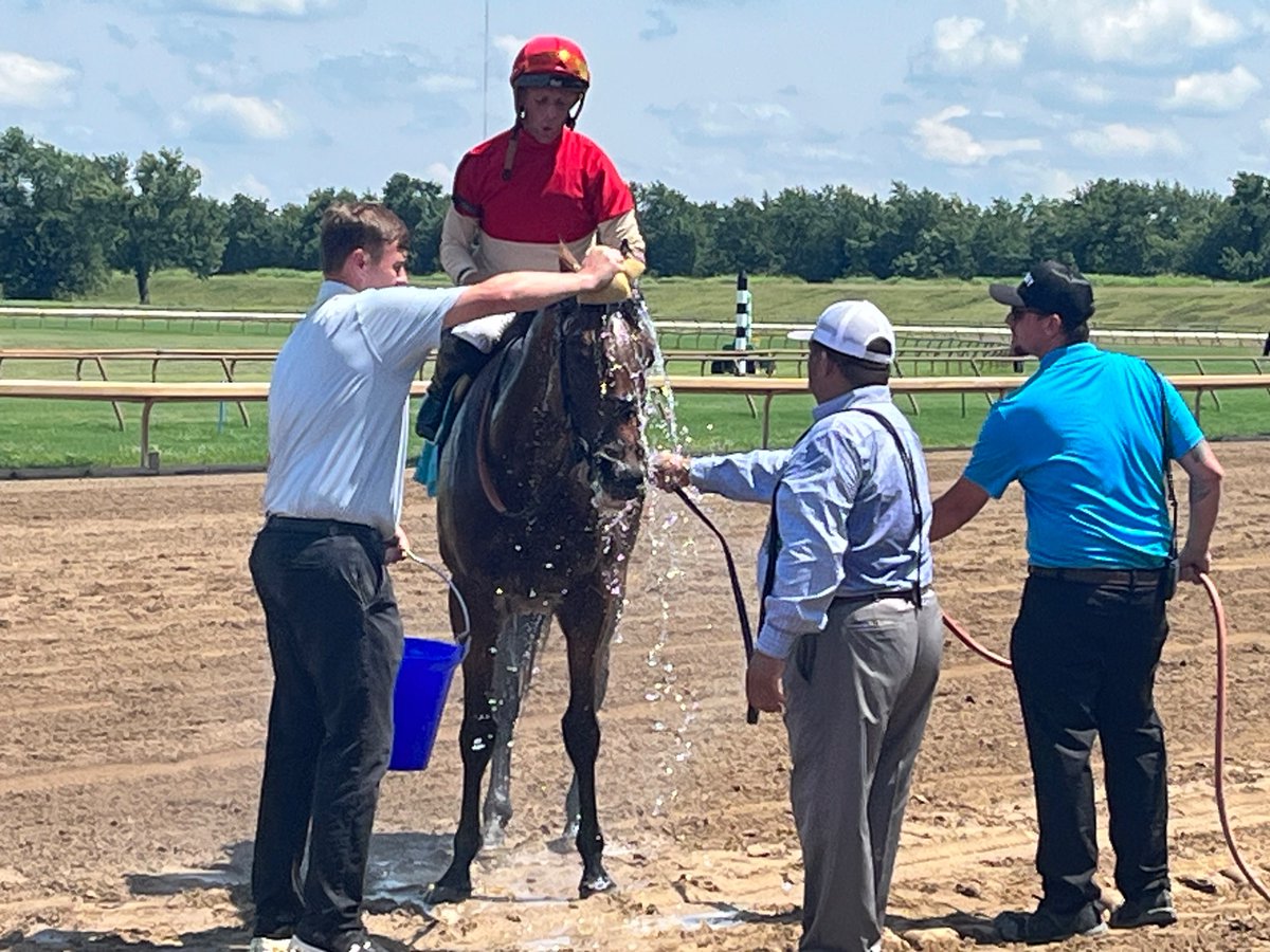 aaronhancock14's tweet photo. On Sunday @EllisParkRacing, 4 y.o. filly, “Bourbon Memory” won an allowance optional claiming race!
Jockey @_benacurtis had the winning ride for trainer Brendan Walsh, as they teamed up for another win!
@brenpwalsh @JoeyDaKRacing @TonyCalo5 @HorseRacingKK @KyHBPA @BeardedHandicpr https://t.co/O1rsRyXgCJ