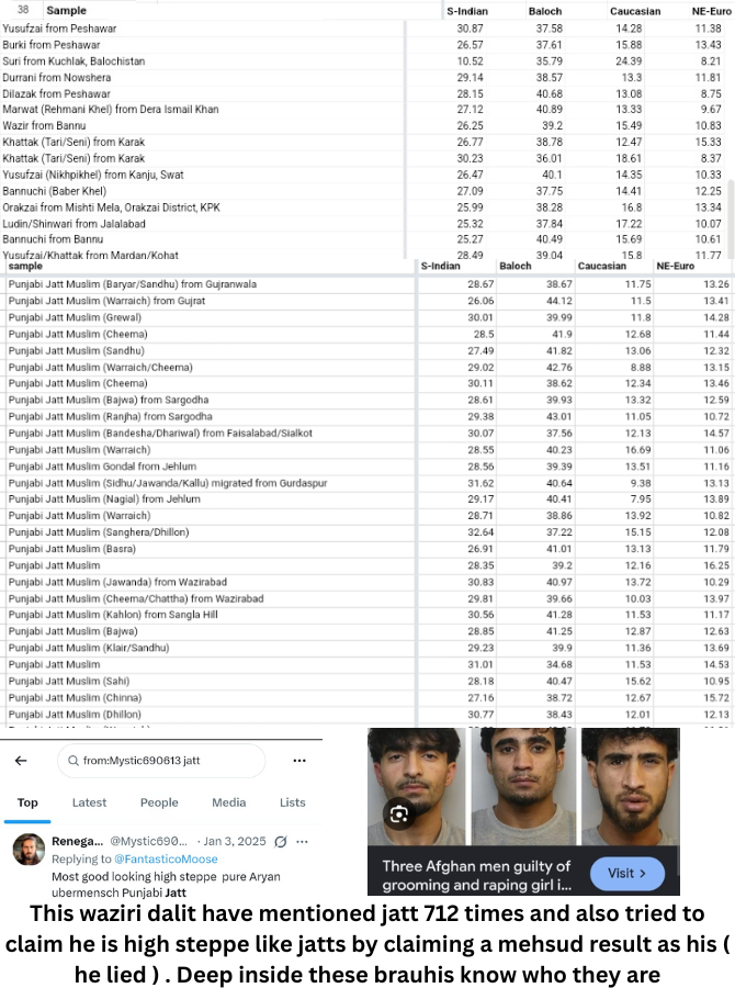 Bruhlabs's tweet photo. This little waziri khusri have mentioned jatt 712 time in his profile and also tried to claim he is high steppe by claiming a high steppe mehsud sample as his own but i caught him. We have 131 kpk pthan smaples and on avrg they score less steppe then even ethnic muslim jatts 🤣👅 https://t.co/7HVl5QrtLM