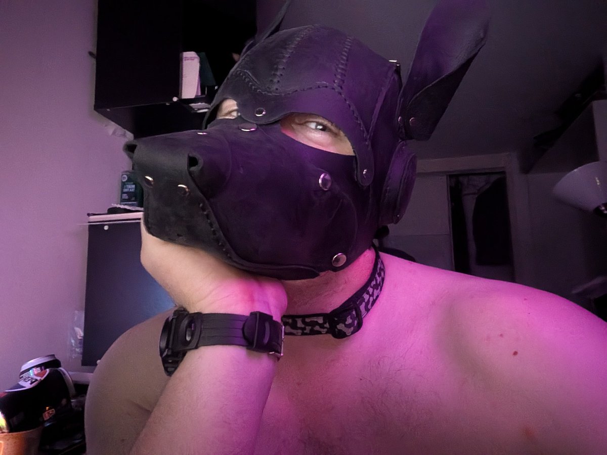 CryptidCooper's tweet photo. Sometimes work leaves you with no option but to just be a puppy immediately afterwards https://t.co/LlRLBr4DXs