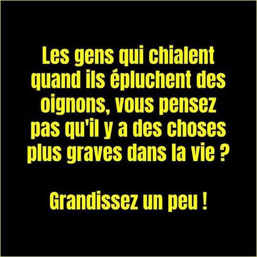 okchiche's tweet photo. @J_Bardella Puis il y a ceux qui chialent quand ils piquent dans la caisse du @Europarl_EN et qui se retrouvent devant un juge ! Le @RNational_off évidement . https://t.co/jmww5QI47l