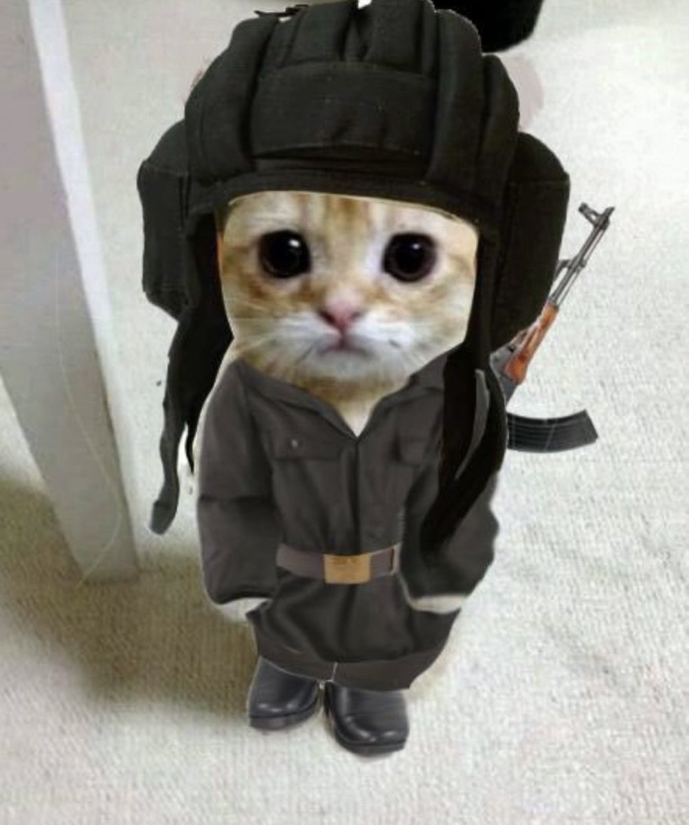 runty_days's tweet photo. @Bulltard8 $gato coded https://t.co/CRPZjsBvW6