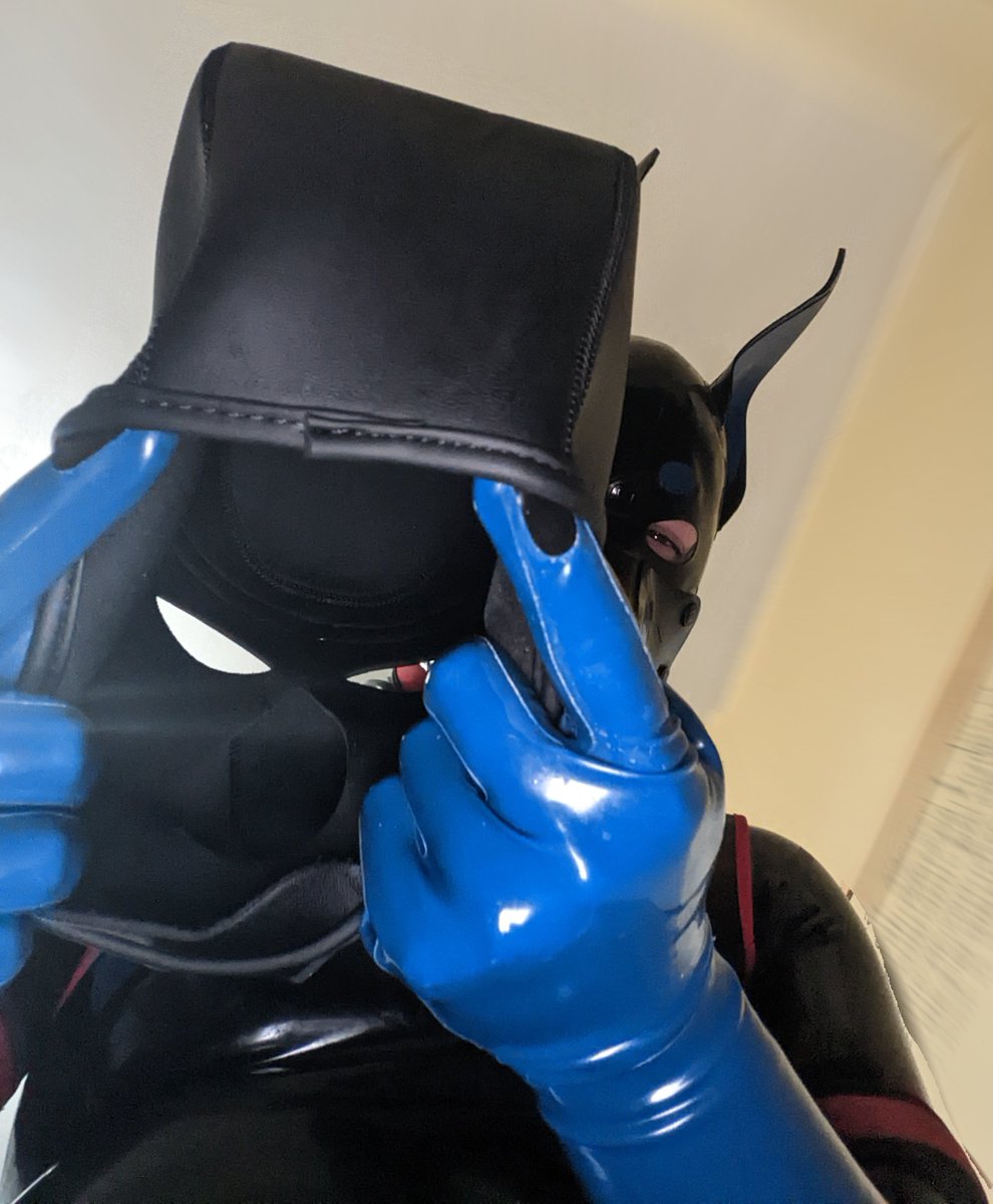 DobieSkir's tweet photo. Does this look like a good face? Hope you like it. It's not coming off until I say so! https://t.co/ompuGk2vER