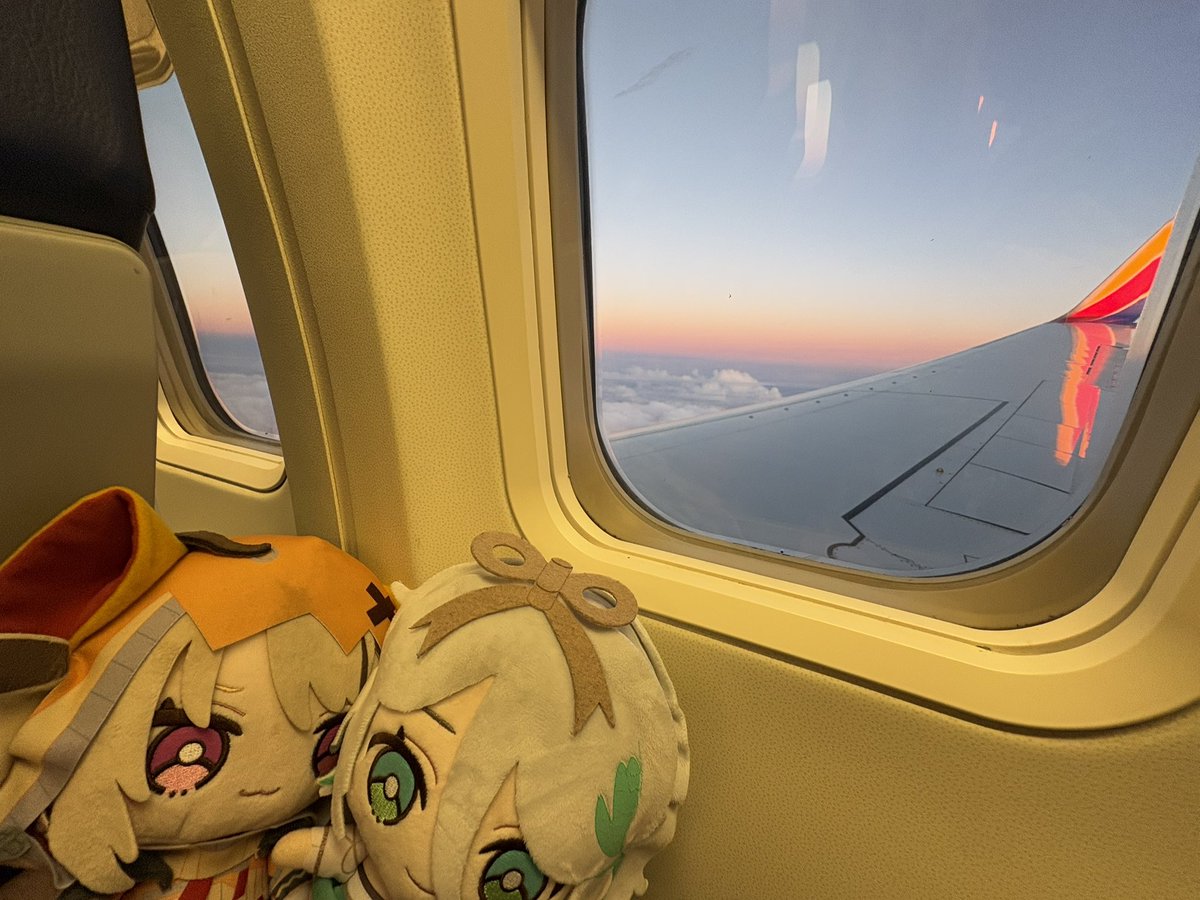 Night6_FW's tweet photo. Had to try explaining vtubers to an elderly woman on this flight because she saw the Grem on my hat.
At least the travel went fully smooth.
โฆ now what do I do with my life?
#gremurins #otomos #autofister https://t.co/ej02WS2pLk