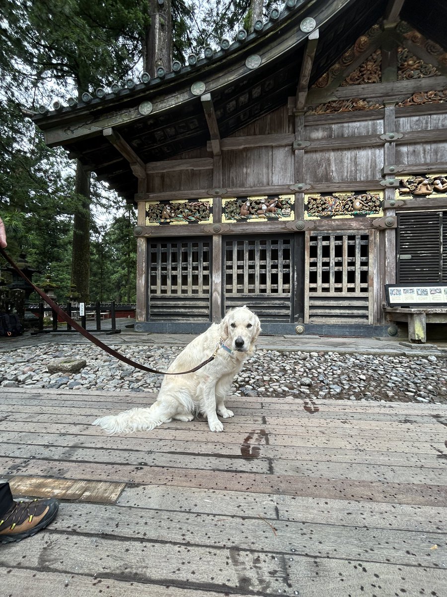 KanataSea's tweet photo. おはようございます！
旅行最終日！美味しいソフトクリームとかわいい牛さんに会いに行ってきます！
楽しく過ごすぞー！
皆様も雨に降られず良き日をお過ごしくだ��ね。 https://t.co/lvz7Psqhz1