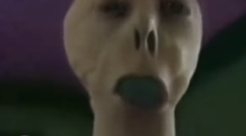 large sniffing individual tweet media