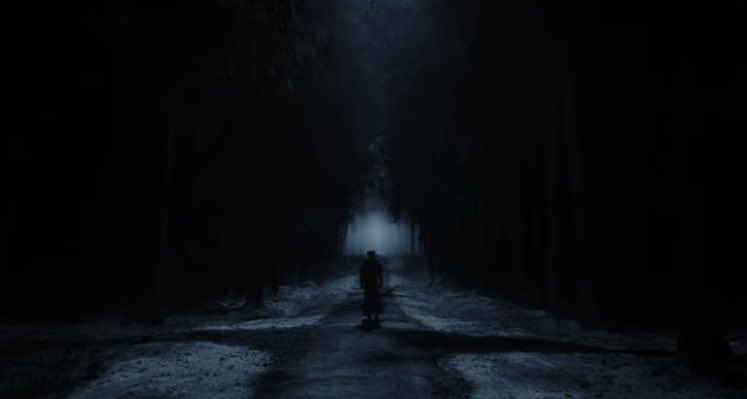 vivalarevolz's tweet photo. nosferatu (2024) dir. robert eggers https://t.co/PRfdHJIVtQ