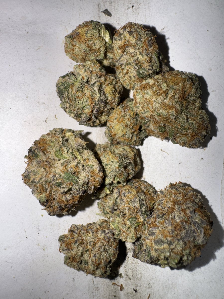 Ps_Yo_Wey_69's tweet photo. Y, a los hombres también nos gustan las flores 🌱

Strain: Black Runtz https://t.co/W2QaoUaKH1