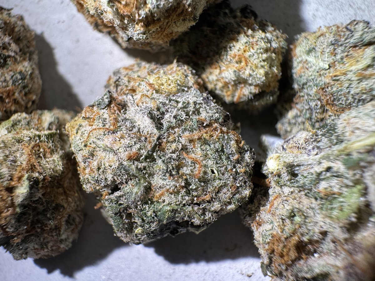 Ps_Yo_Wey_69's tweet photo. Y, a los hombres también nos gustan las flores 🌱

Strain: Black Runtz https://t.co/W2QaoUaKH1