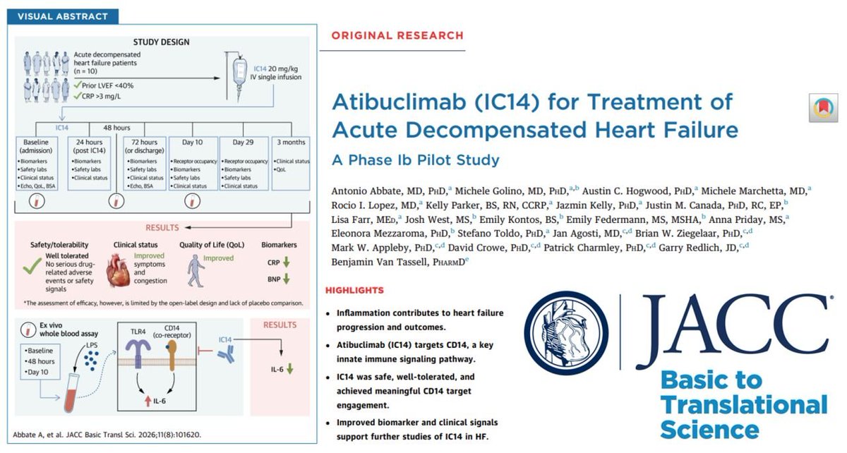 micheleg1390's tweet photo. A new frontier in #HeartFailure? Proud to contribute to the first-in-patients study of atibuclimab (IC14). 
Safe, >95% target, ↓ inflammation, ↓ BNP, ↓ HF symptoms, ↑ LVEF. A promising new strategy!
@AbbateAntonio @bvantassell @GarryRedlich @marchetta97560 @Hogwood_AC https://t.co/lqwx0QGTNY