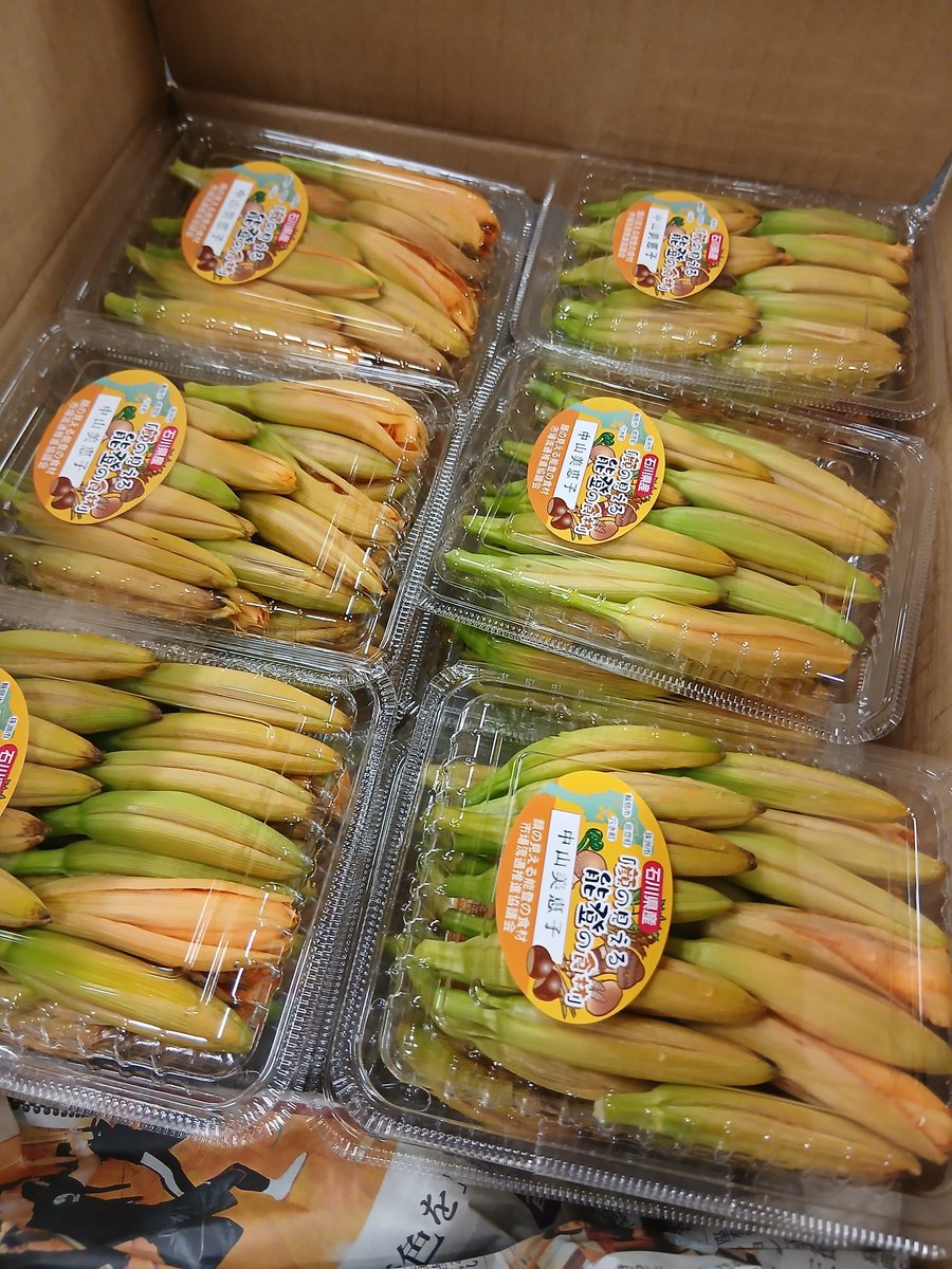 vege_fru's tweet photo. 8時開店 #金沢市民の台所 #近江町市場 #八百屋 #北形青果 してます

らじおはじまる～ https://t.co/tjDsAP8VlB