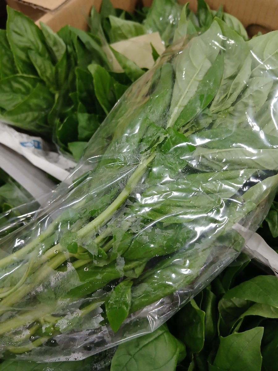vege_fru's tweet photo. 8時開店 #金沢市民の台所 #近江町市場 #八百屋 #北形青果 してます

らじおはじまる～ https://t.co/tjDsAP8VlB