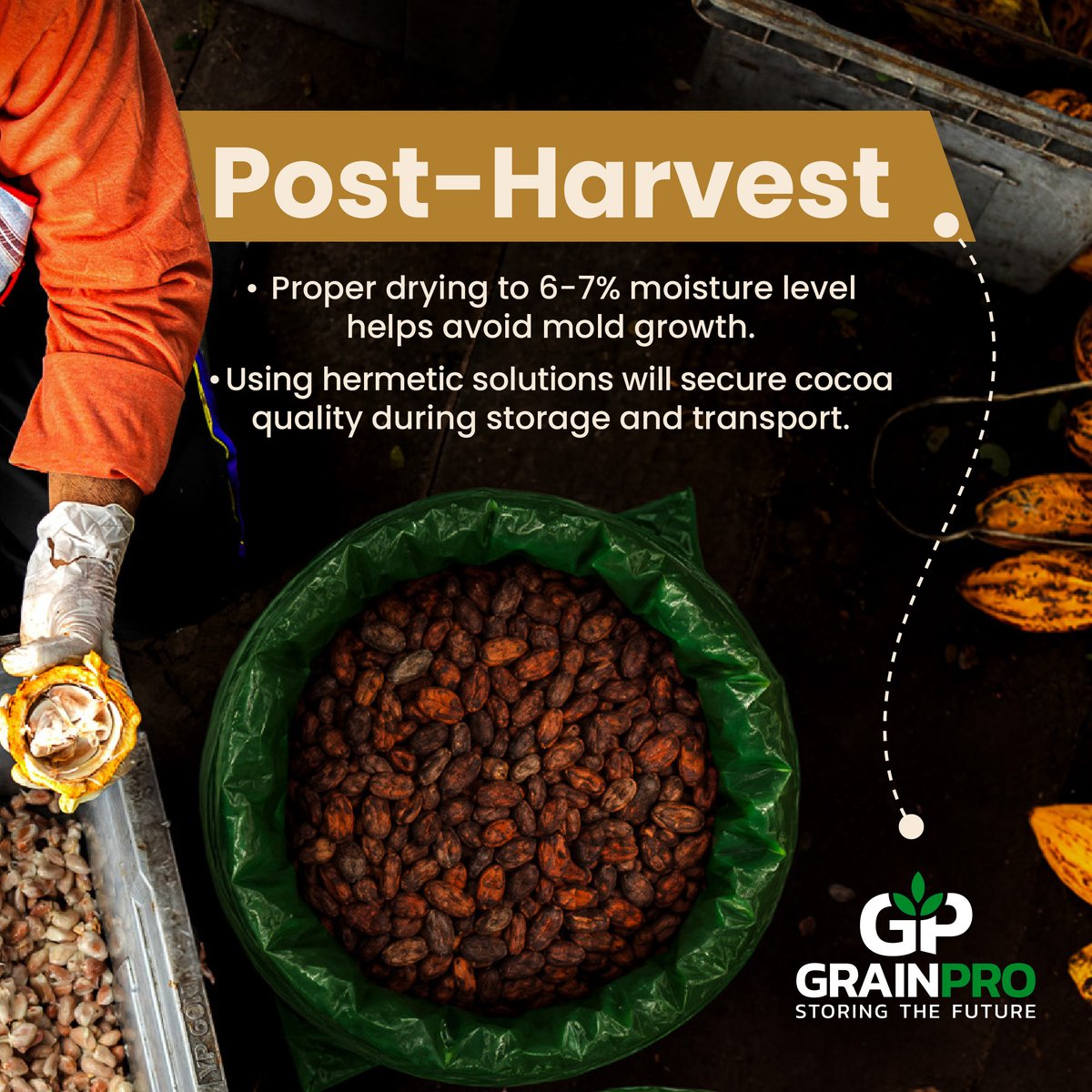 grainproinc's tweet photo. Cocoa beans undergo multiple processes before being turned into chocolate.
Learn more about how to preserve cocoa quality at https://t.co/16Q9ZYAlIp
#ForAFoodfulFuture #CocoaQuality #CocoaBeans #Cocoa #Cacao #PostHarvest #Drying #Storage #Transport #HermeticTechnology https://t.co/nL0HyMW6kI