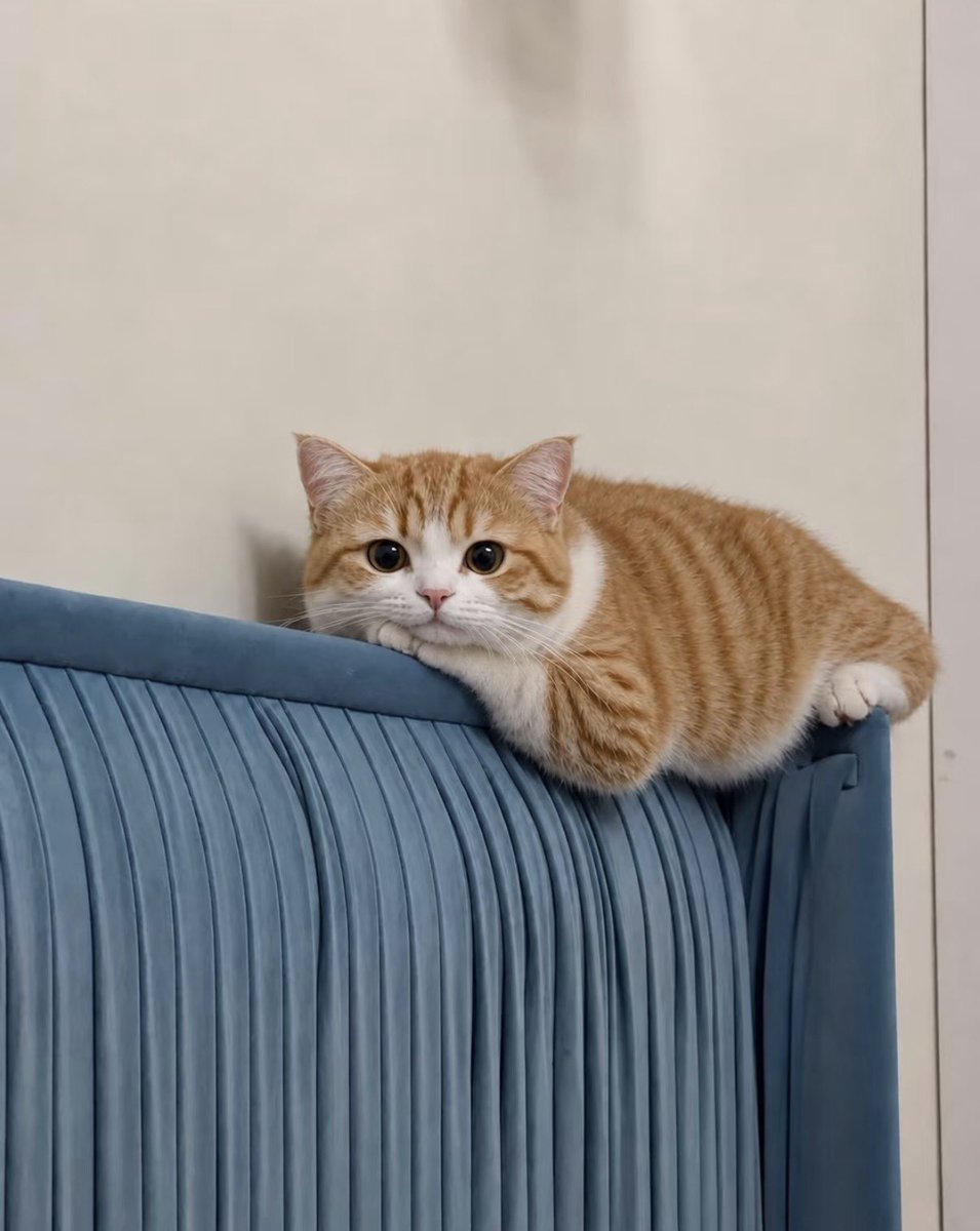 twaniimals's tweet photo. https://t.co/hmflbBU93D