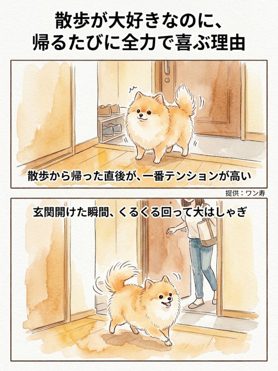 lifefire_zndmn's tweet photo. そんな理由があったなんて🥲 https://t.co/QCNpNFoXvv