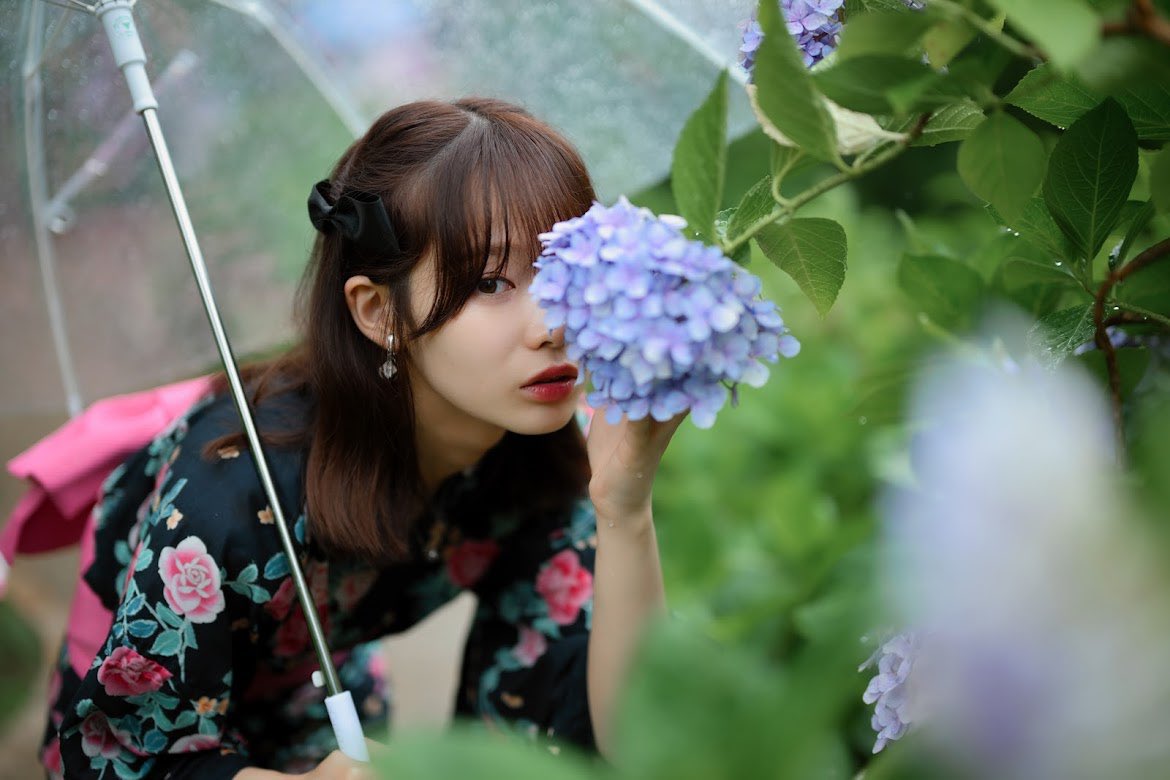 miyu_t_0716's tweet photo. 紫陽花の季節もう終わり？☂️ https://t.co/c5UcpLCBh0
