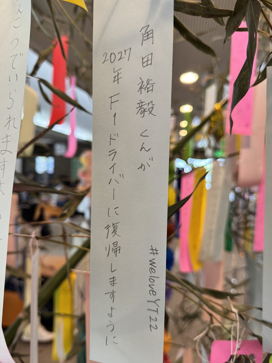 rodibee_lanjam's tweet photo. もう書けないかと思ってたけど、ひょんなことから運良く書けました😭
ゼッタイ叶えたい。
来季どこでもいいので正ドライバーになれますように🙏🏻

#weloveYT22 https://t.co/MYyxQ2lUlb