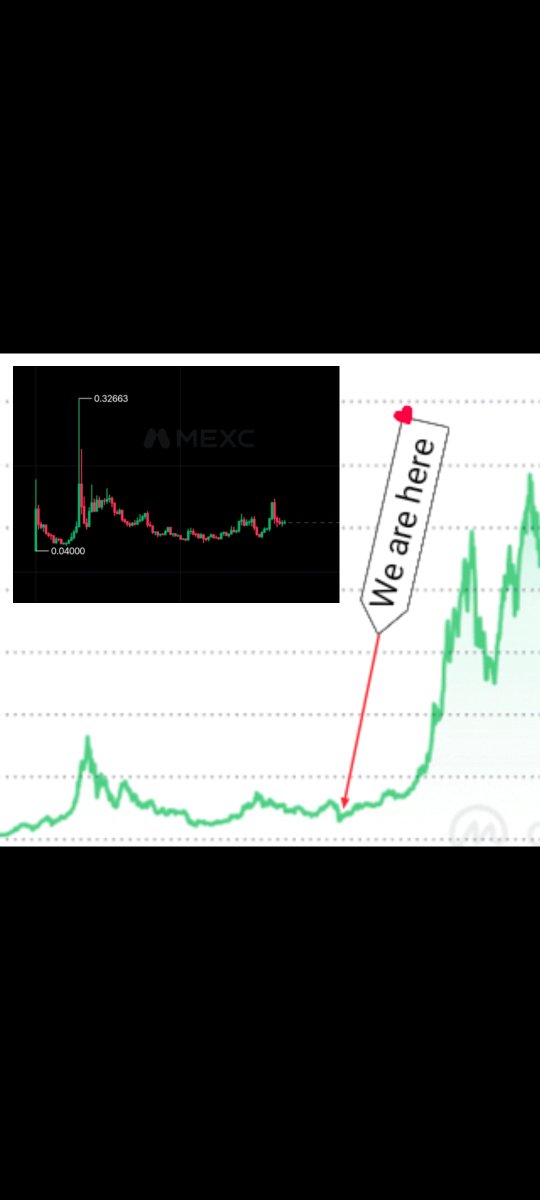 Torch_BTC's tweet photo. $based #based  will be huge, stay safe on spot ! https://t.co/mmfTdSxeEd