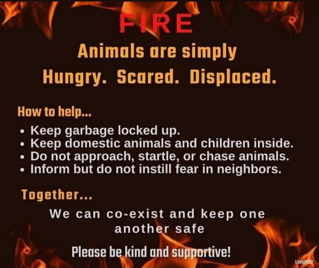 BeCurious3698's tweet photo. Woth new fires breaking out across the entire nation ... kind reminder 👇 https://t.co/qDkugAqhlD