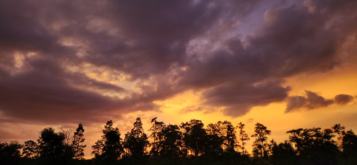 rkymtnman1981's tweet photo. Nature putting on a dramatic show tonight. ๐
๐
โThe contrast between those heavy, moody purple clouds and the bright golden light breaking through over the trees is absolutely stunning.
#Sunset #BrandonFL #Flwx
@bn9weather
@mcclureWX
@Mike_Clay https://t.co/UP1OR8fj2v
