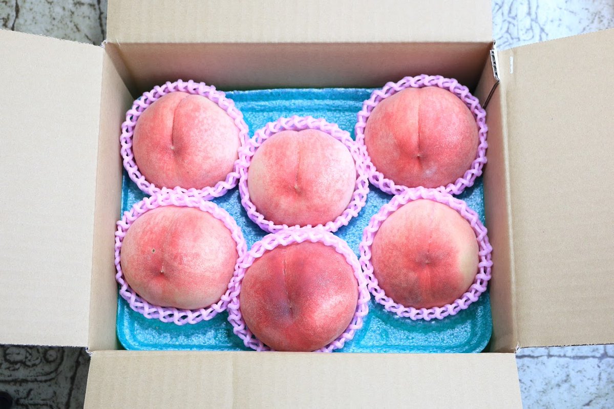 jolf_sales's tweet photo. ／
とろける甘さと、あふれる果汁🍑
＃福島の桃
＼

#サンドラジオショー 内
「ふくしまみ～つけた！」で紹介した
「阿部農縁の完熟桃」を
抽選で4名様に #プレゼント 🎁

福島県は、強い日射しが降り注ぐことから、
甘さをたっぷり含んだおいしい桃ができます🍑😋
樹上で完熟した桃を一番美味しい状態でお届けします✨

◆応募方法
1⃣@jolf_salesをフォロー
2⃣この投稿を7/19(日)23:59までにRP
当選者にはDM📩
