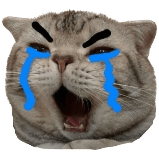 napssofunny's tweet photo. Omygod https://t.co/ViHZ0ctf6g
