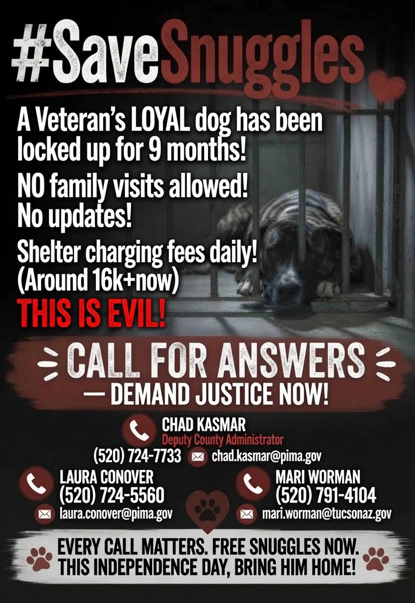 mistclance's tweet photo. We are begging big &amp; small accounts to PLEASE SHARE and help this Vets family get their beloved dog back!
Pima county is holding this dog for ransom 
@catturd2 
@mattvanswol 
@mrddmia 
@4thOfJuly365 
@elonmusk 
@CollinRugg 
@RealJamesWoods 
@genesimmons 
@LaraLeaTrump https://t.co/aZ3UAJrV3o