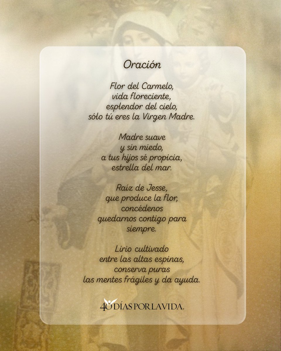 40DXLV's tweet photo. Virgen del Carmen, ruega por nosotros. https://t.co/plk1Wb9aqL