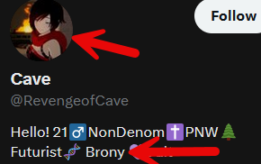 mjolnerwolf's tweet photo. Snapshot of the Chrissy's in this thread disagreeing with  me. Grown men pretending to be anime girls, a 'brony' - I wish I could say this was the only one. https://t.co/02lMrZ5g20