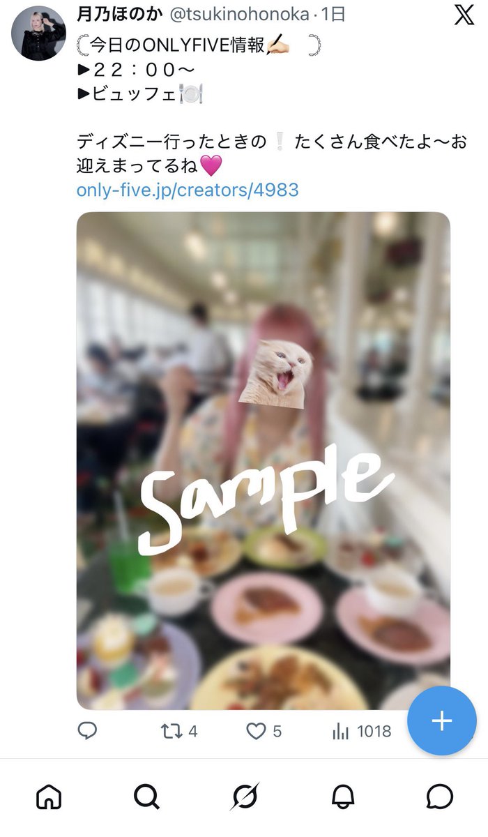 deathdolnote's tweet photo. 【知名度F】

元アイドル
月乃ほのか @tsukinohonoka 

備考 : ディズニー・USJ営利目的(規約違反) https://t.co/hynOYu99T1