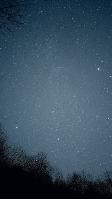 IanShilohncp's tweet photo. العلاقة هو النور اللي الأمل يعانق تحت ضوء القمر. perla cheirs🌖 https://t.co/i2uAoYvNpx