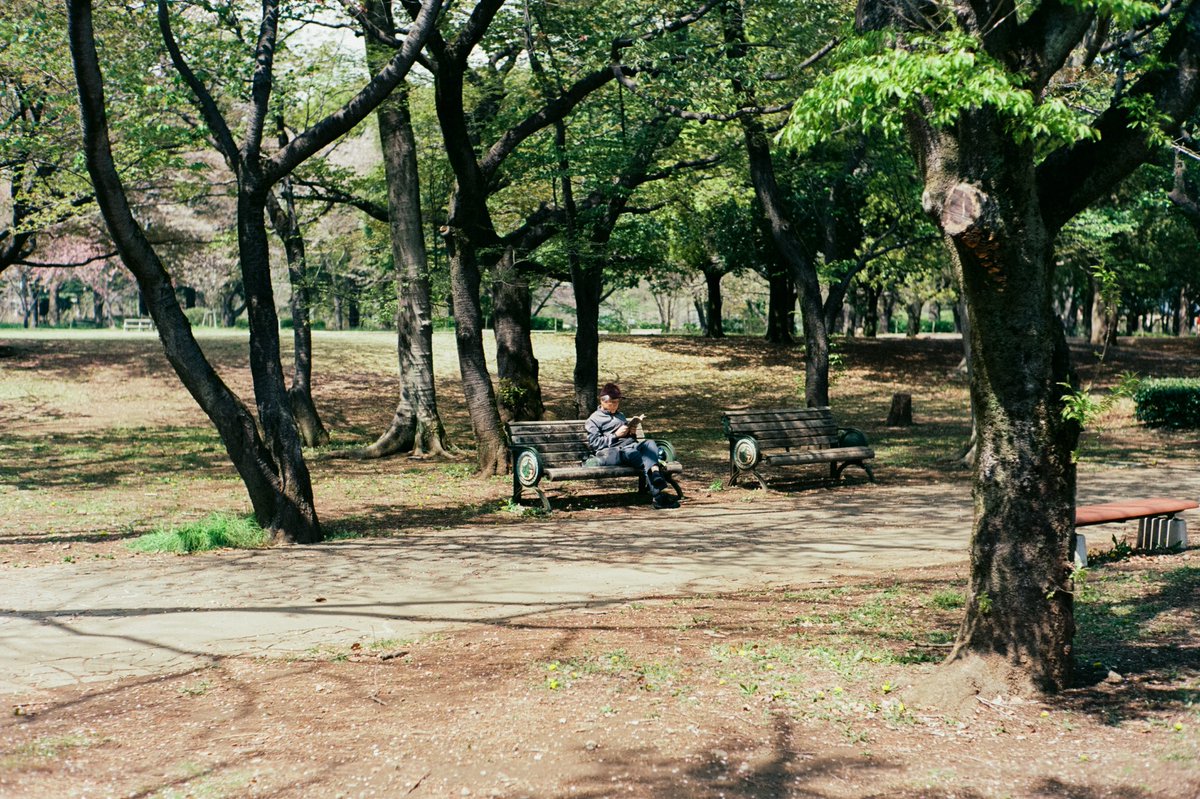 motokifilm's tweet photo. Kodak Portra 400 https://t.co/BTYDmXH3iQ